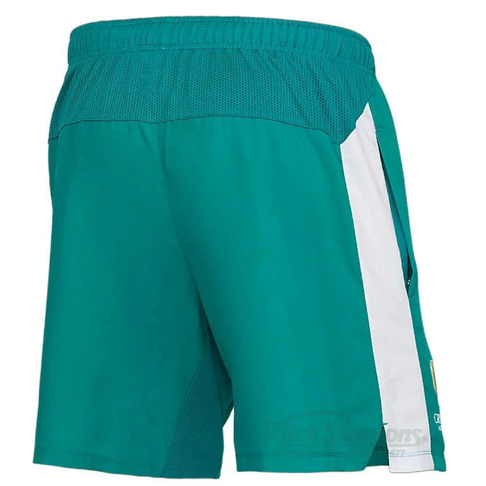 Cricket Australia Training Shorts by Asics